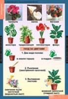 Окружающий мир 1 класс (комплект таблиц) - «globural.ru» - Нерюнгри