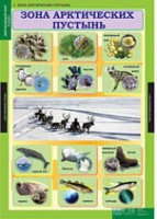Окружающий мир 4 класс (комплект таблиц) - «globural.ru» - Нерюнгри