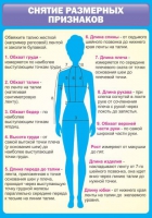 Стенд "Снятие мерок" (вариант 2) - «globural.ru» - Нерюнгри