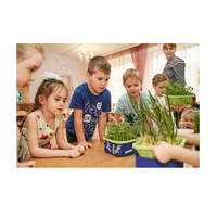 Обучающий комплект экологической направленности "Сити-фермер 2.0 Детский сад" 10 человек - «globural.ru» - Нерюнгри