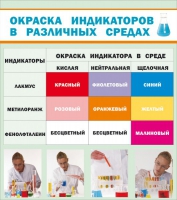 Стенд "Окраска индикаторов в различных средах" - «globural.ru» - Нерюнгри