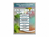 Стенд "Схема приготовления мясных котлет" - «globural.ru» - Нерюнгри