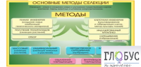 Стенд "Методы селекции и биотехнологии" - «globural.ru» - Нерюнгри