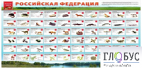 Стенд "Красная книга РФ" - «globural.ru» - Нерюнгри