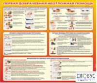 Стенд "Первая доврачебная неотложная помощь" - «globural.ru» - Нерюнгри