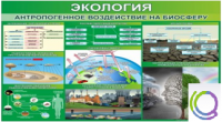 Стенд "Экология. Антропогенное воздействие на биосферу" - «globural.ru» - Нерюнгри