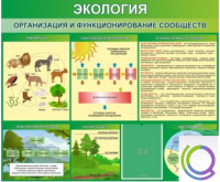 Стенд "Экология. Организация и функционирование сообществ" - «globural.ru» - Нерюнгри