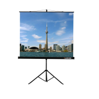 Проекционный экран на штативе Lumien Eco View (LEV-100105) 160x160 см - «globural.ru» - Нерюнгри