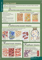 Биология 8-9 класс. Человек. (комплект таблиц) - «globural.ru» - Нерюнгри