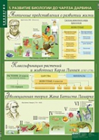 Биология 10-11 класс. Эволюционное учение (комплект таблиц) - «globural.ru» - Нерюнгри