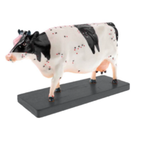 Электрифицированный макет коровы на каркасе - «globural.ru» - Нерюнгри