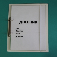 Дневник школьника (с полным набором карточек) - «globural.ru» - Нерюнгри