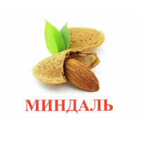 Карточки Домана "Орехи-Ягоды-2" - «globural.ru» - Нерюнгри