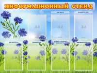 Стенд информационный с 7 карманами - «globural.ru» - Нерюнгри