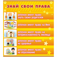 Стенд "Знай свои права" - «globural.ru» - Нерюнгри