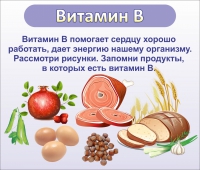 Стенд "Витамин В" - «globural.ru» - Нерюнгри