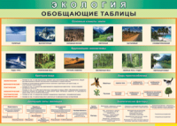 Обобщающие таблицы 1000*700 винил	 - «globural.ru» - Нерюнгри