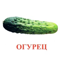 Карточки Домана "Овощи-Зелень-1" - «globural.ru» - Нерюнгри