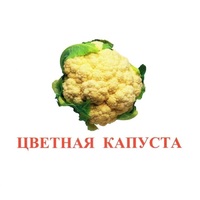 Карточки Домана "Овощи-Зелень-2" - «globural.ru» - Нерюнгри