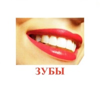 Карточки Домана "Части тела" - «globural.ru» - Нерюнгри