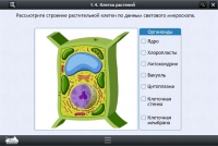 Интерактивные курсы. Биология 9 класс. Расширенный - «globural.ru» - Нерюнгри