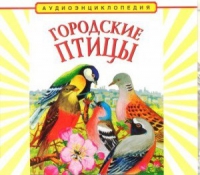 CD "Аудиоэнциклопедия. Городские птицы" - «globural.ru» - Нерюнгри