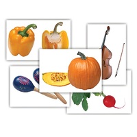 Набор предметных картинок "Овощи. Музыкальные инструменты" - «globural.ru» - Нерюнгри