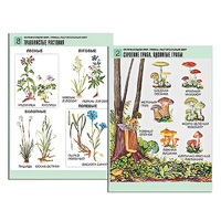 Комплект таблиц для начальной школы "Окружающий мир. Грибы. Растительный мир" - «globural.ru» - Нерюнгри