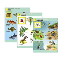 Комплект таблиц для начальной школы "Окружающий мир. Животный мир" - «globural.ru» - Нерюнгри
