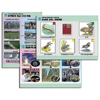 Комплект таблиц для  начальной школы "Окружающий мир. Экология" - «globural.ru» - Нерюнгри