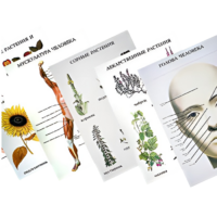 Таблицы по природоведению 1-3 класс - «globural.ru» - Нерюнгри