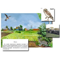 Магнитный плакат-аппликация "Поле: биоразнообразие и взаимосвязи в сообществе" - «globural.ru» - Нерюнгри