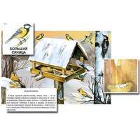 Магнитный плакат-аппликация "Биоразнообразие и экологические группы. Птицы зимой" - «globural.ru» - Нерюнгри