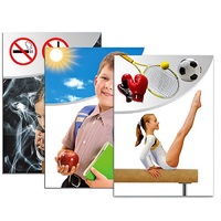 Модель-аппликация "Здоровье человека" - «globural.ru» - Нерюнгри