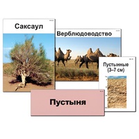 Модель-аппликация "Природные зоны России" - «globural.ru» - Нерюнгри