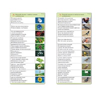 Комплект карточек (10) "Обучающий калейдоскоп. Природа" - «globural.ru» - Нерюнгри