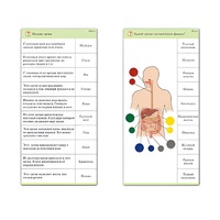 Комплект карточек (10) "Обучающий калейдоскоп. Человек" - «globural.ru» - Нерюнгри