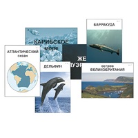 Модель-аппликация "Океаны. Знакомство" (ламинированная) - «globural.ru» - Нерюнгри