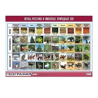 Таблица демонстрационная "Почвы, растения и животные природных зон" (винил 100x140) - «globural.ru» - Нерюнгри
