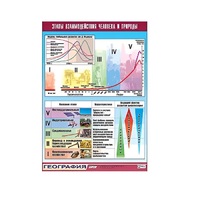 Таблица демонстрационная "Этапы взаимодействия человека и природы" (винил 70x100) - «globural.ru» - Нерюнгри