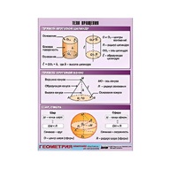 Таблица демонстрационная "Тела вращения" (винил 70х100) - «globural.ru» - Нерюнгри