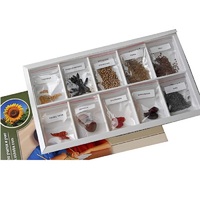 Коллекция "Плоды сельскохозяйственных растений" (вариант 2) - «globural.ru» - Нерюнгри