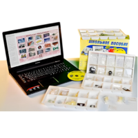 Коллекция натурально-интерактивная "Пластмассы" - «globural.ru» - Нерюнгри