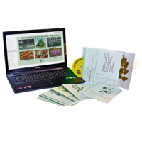 Гербарий натурально-интерактивный "Лекарственные растения" - «globural.ru» - Нерюнгри