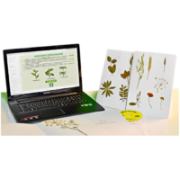 Гербарий натурально-интерактивный "Морфология растений" - «globural.ru» - Нерюнгри