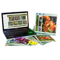 Гербарий натурально-интерактивный "Основные группы растений. Грибы. Лишайники" - «globural.ru» - Нерюнгри