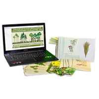 Гербарий натурально-интерактивный "Растительные сообщества. Лес" - «globural.ru» - Нерюнгри