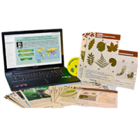 Гербарий натурально-интерактивный к курсу основ общей биологии - «globural.ru» - Нерюнгри