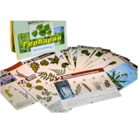 Гербарий к курсу основ общей биологии - «globural.ru» - Нерюнгри