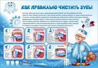 Стенд "Как правильно чистить зубы" - «globural.ru» - Нерюнгри